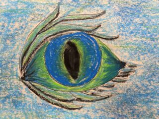 Dragon Eye 5