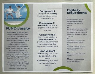 FUNDiversity Pamphlet
